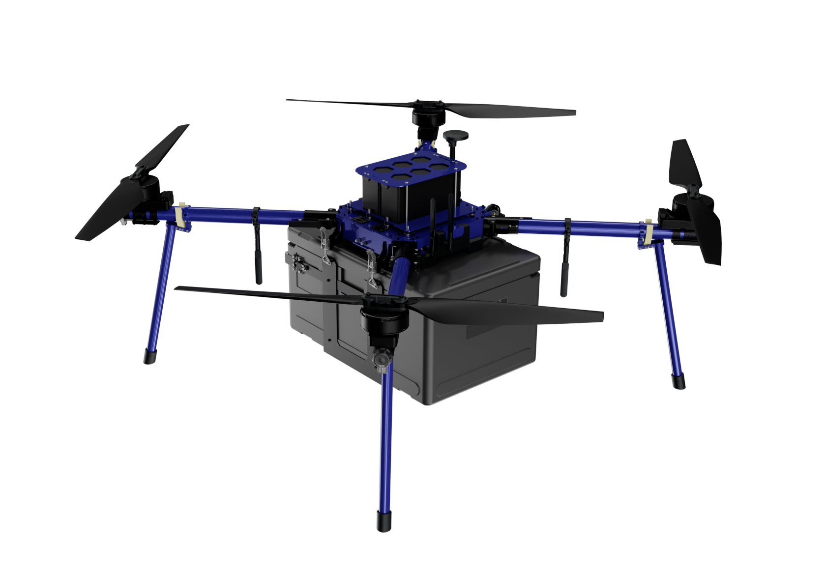 БАС «Муравей»